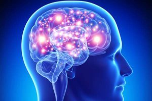 Zanimivosti 75 activebrain