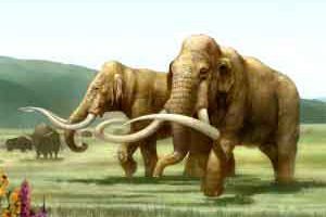 Zanimivosti 78 mamut3
