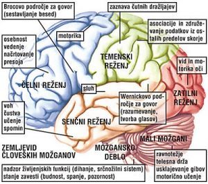 Ali misli nastajajo v možganih? 2 misli2