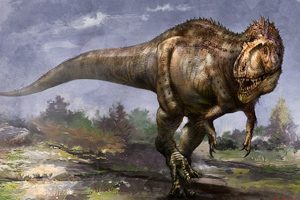 Povezave 15 sinraptor