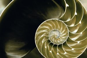 Zanimivosti 76 the golden ratio1