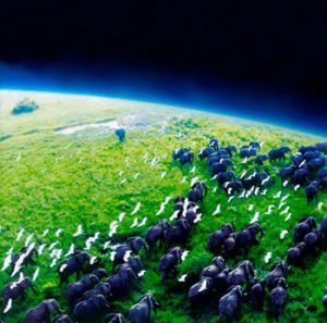 Ali Zemlja živi? 3 alizemljazivi3