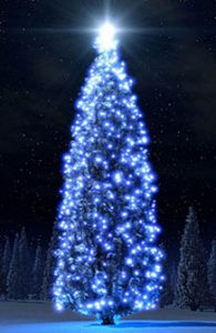 Pozabljena simbolika božičnega drevesca 2 bozicnodrevo3