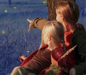 Kako svetijo kresničke 1 kresnicke1