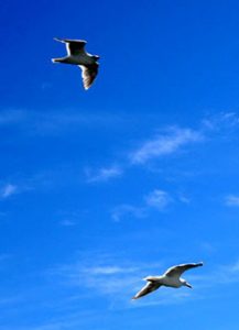 Zakaj je nebo modro? 3 zakajjenebomodro2