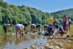 Zgodilo se je 12 Zlato1