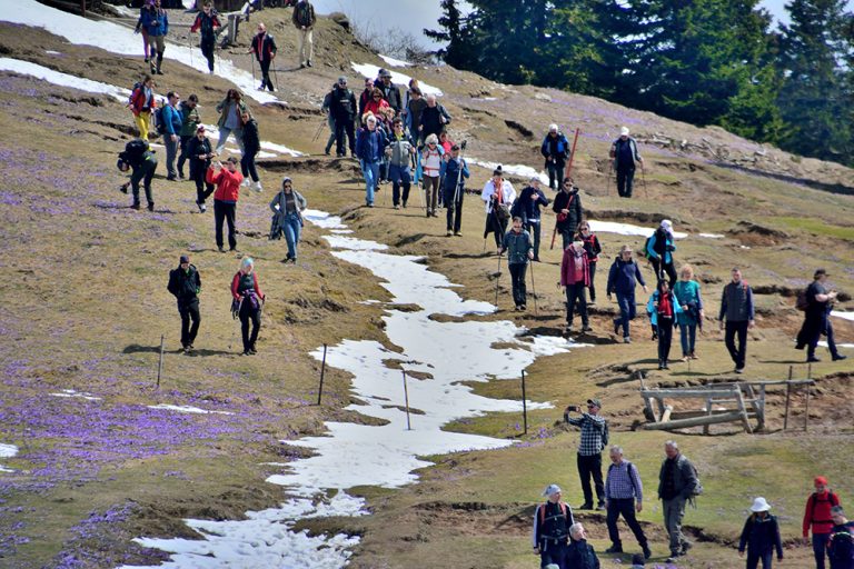 Na Veliko planino ob Svetovnem dnevu Zemlje 2 Velika planina 06