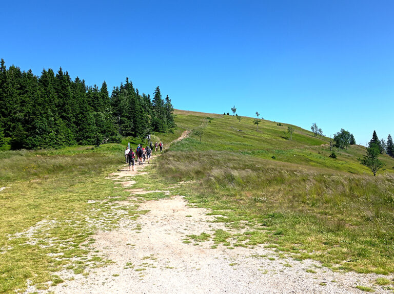 Pohorska transverzala za rojstni dan Nove Akropole 7 13