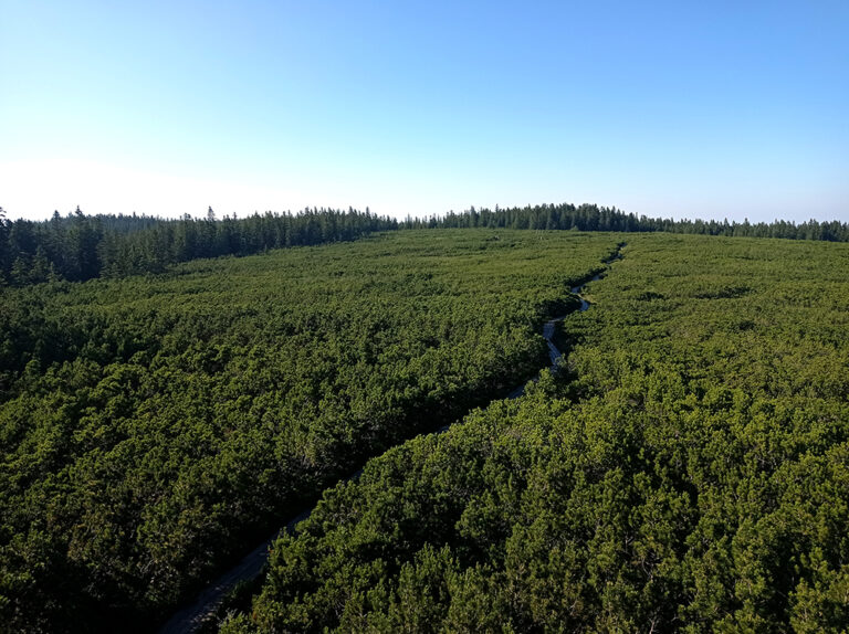 Pohorska transverzala za rojstni dan Nove Akropole 10 15