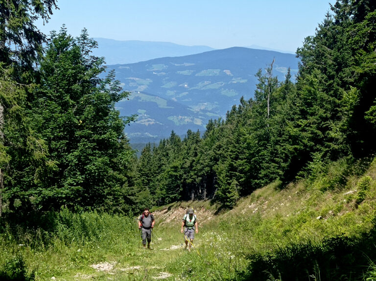 Pohorska transverzala za rojstni dan Nove Akropole 5 8