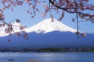 Fuji